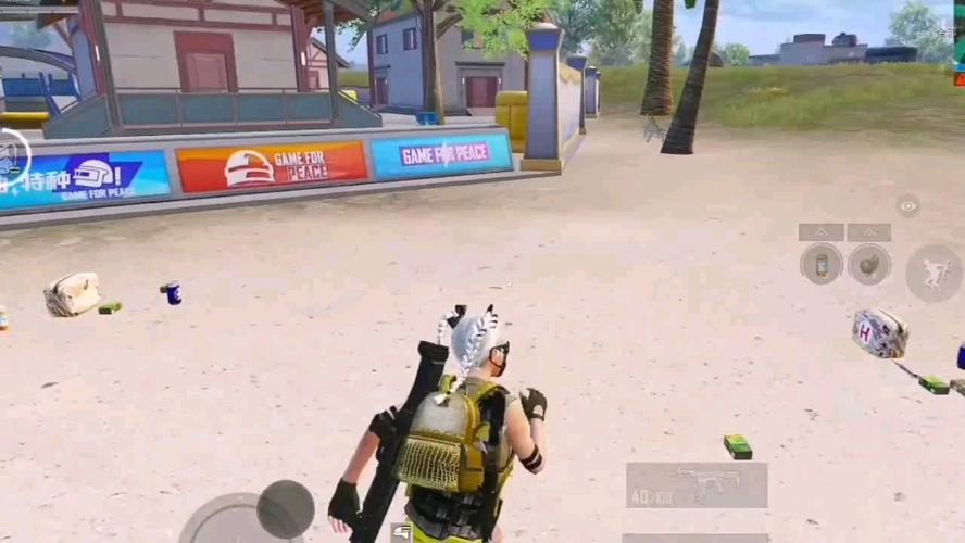 和平精英辅助【美杜莎容器直装V1.3】变色绘制 骨骼绘制 掩体变色 手持显示 全枪无死角漏打 扫车打鸟 范围可调节